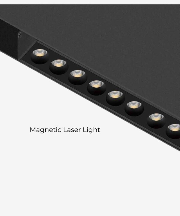 Magnetic Laser Light