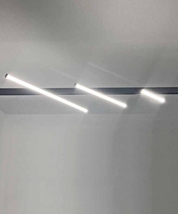 Omni-Directional Linear Light